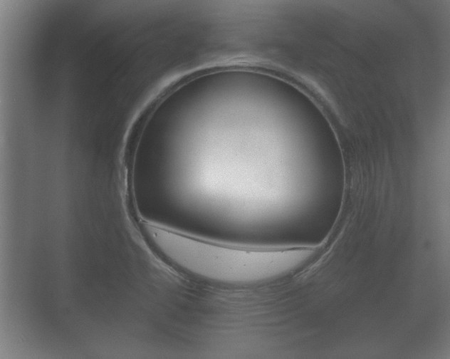 X0000073701414200608031003