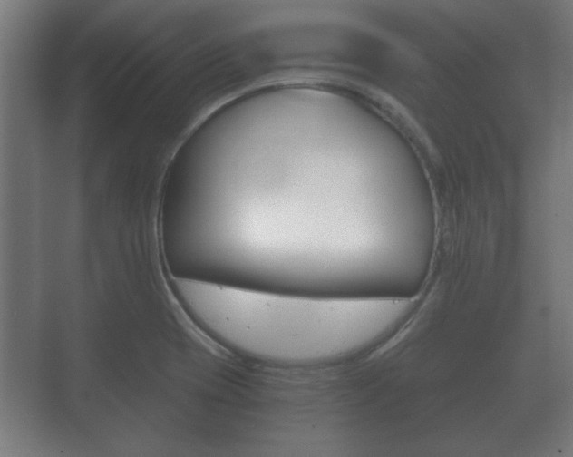 X0000073701417200608031003