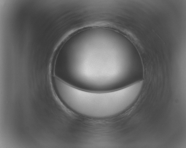 X0000073701422200608031003