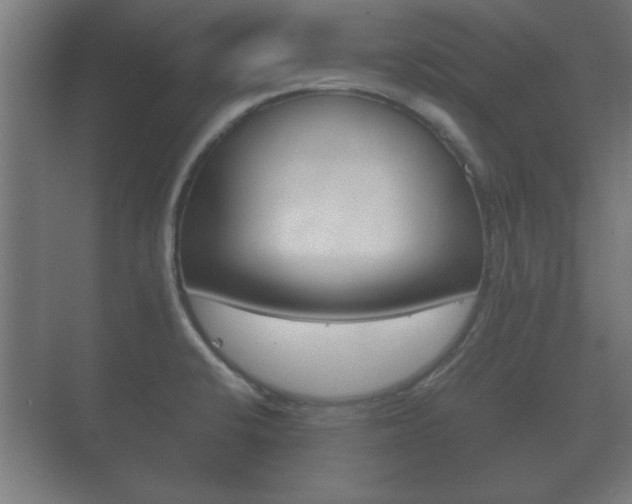 X0000073701424200608031003