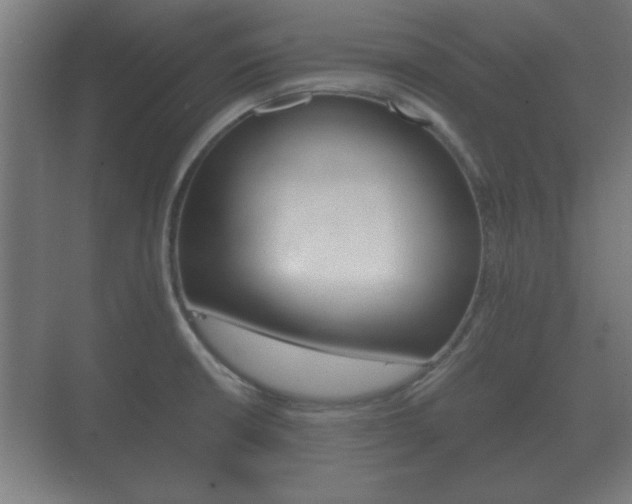 X0000073701426200608031003