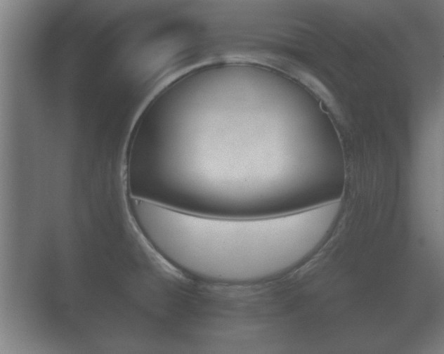 X0000073701428200608031003