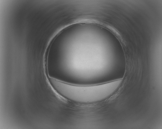 X0000073701430200608031003