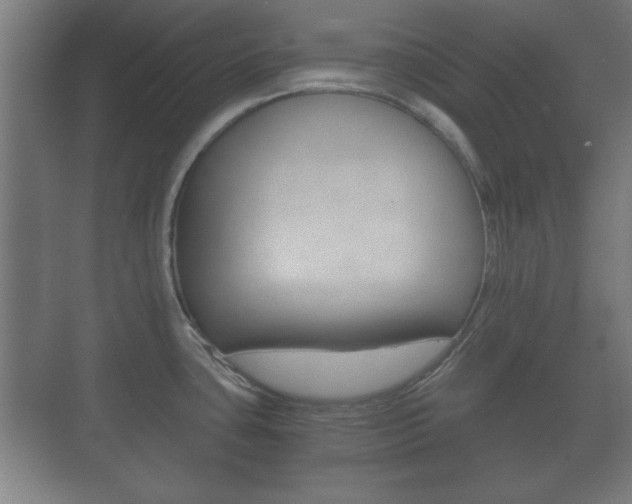 X0000073701435200608031003