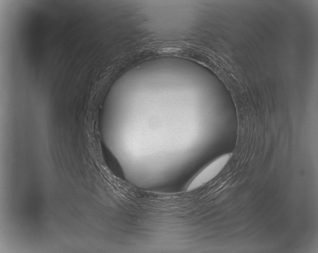 X0000073701441200608031002