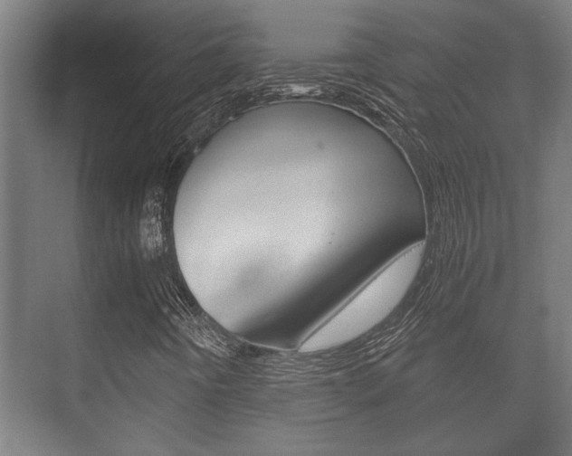 X0000073701442200608031002