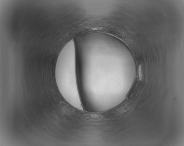 X0000073701443200608031002