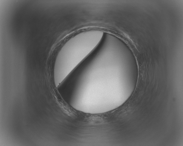 X0000073701448200608031002