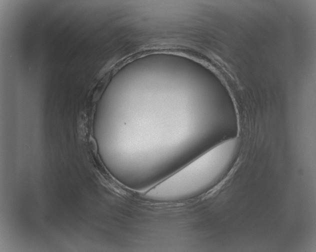 X0000073701449200608031002