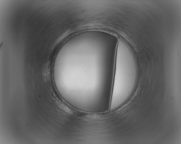 X0000073701450200608031002