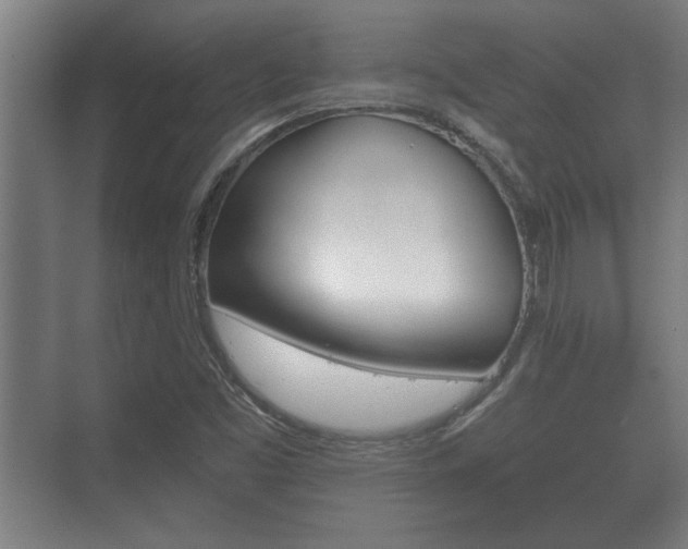 X0000073701453200608031002
