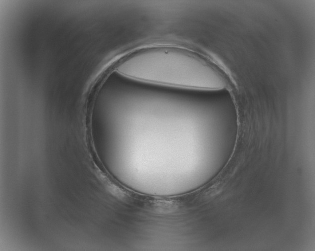 X0000073701456200608031002