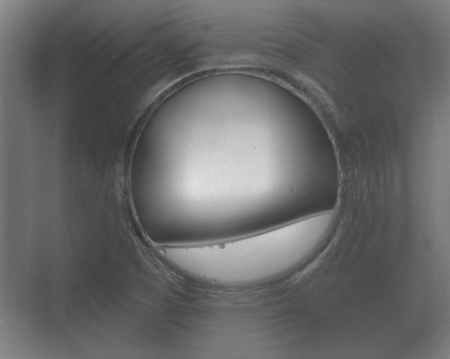 X0000073701457200608031002
