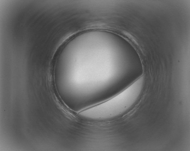 X0000073701458200608031002