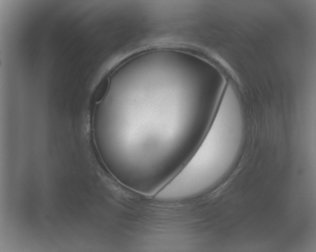 X0000073701461200608031002