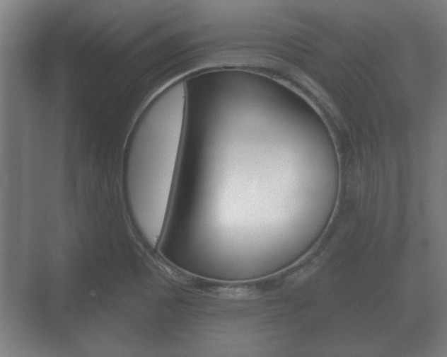 X0000073701465200608031002