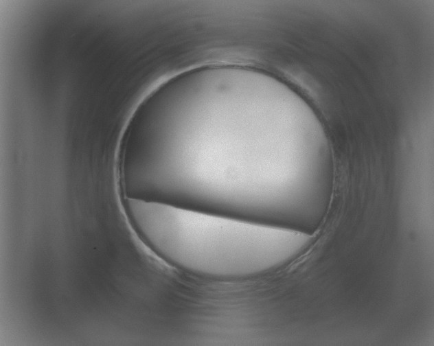 X0000073701471200608031002