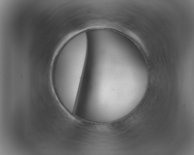 X0000073701472200608031002