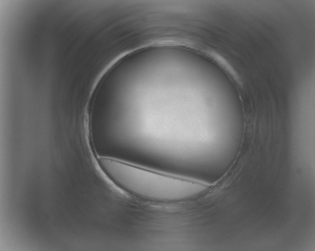 X0000073701476200608031002