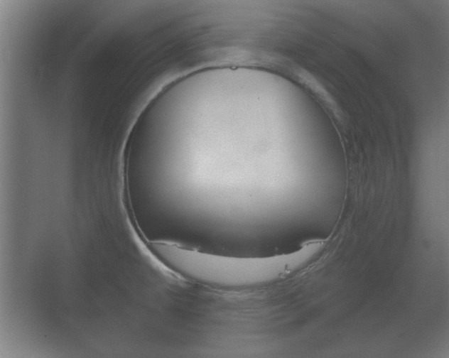 X0000073701479200608031002
