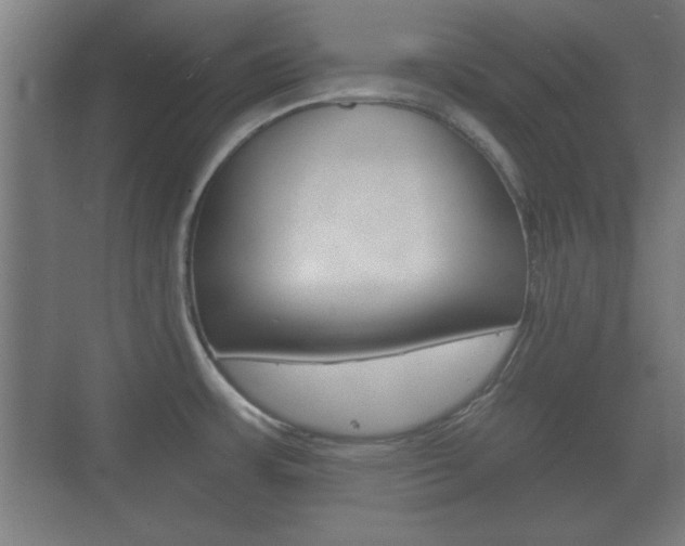 X0000073701483200608031002