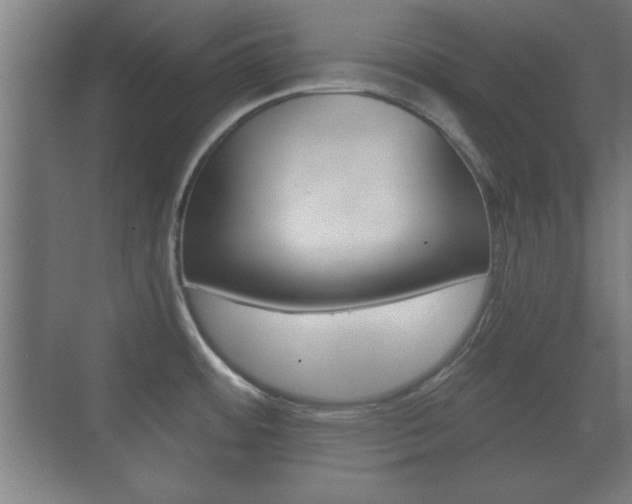 X0000073701484200608031002