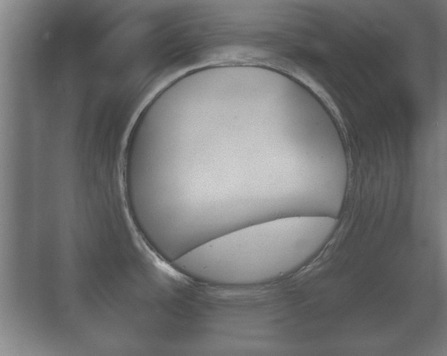 X0000073701486200608031002
