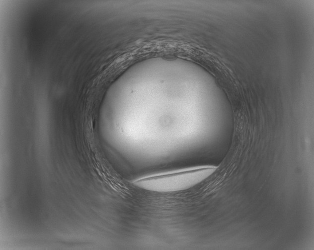 X0000073701489200608031001