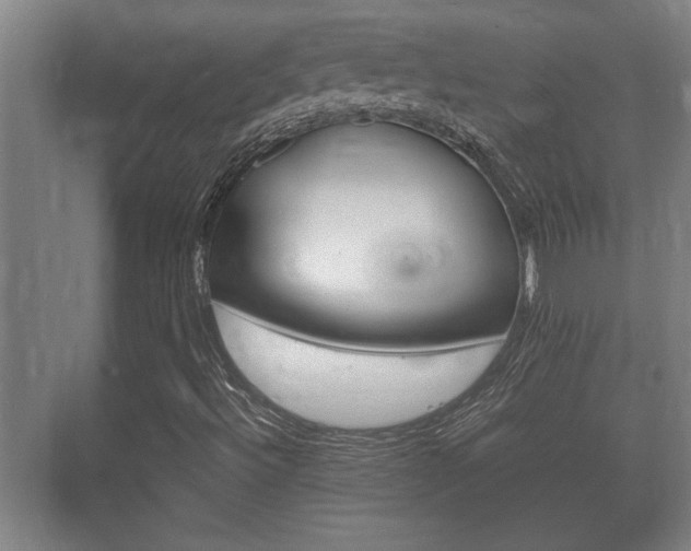 X0000073701492200608031001