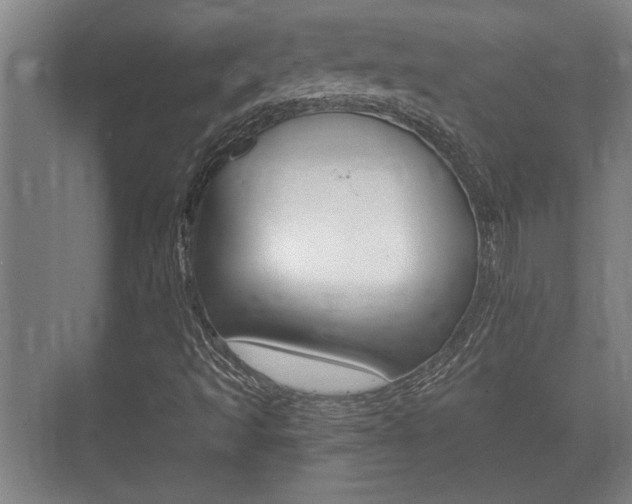 X0000073701493200608031001
