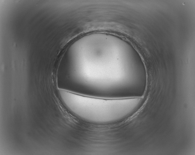 X0000073701497200608031001
