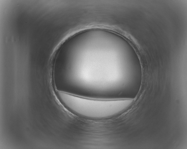 X0000073701504200608031001