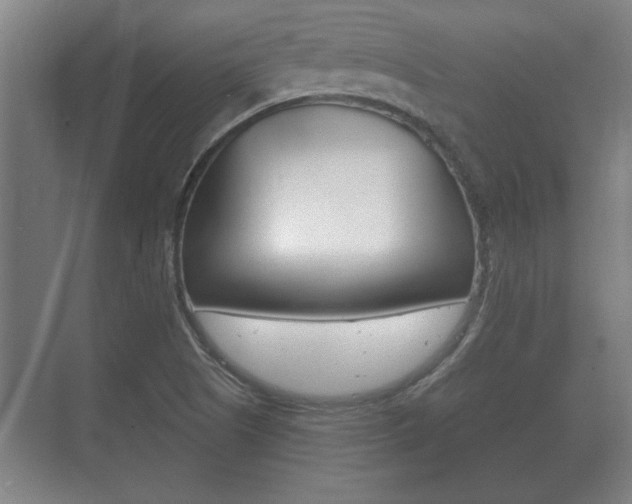 X0000073701505200608031001