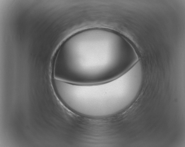 X0000073701508200608031001
