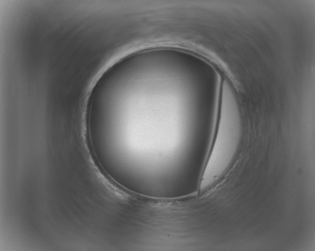 X0000073701512200608031001