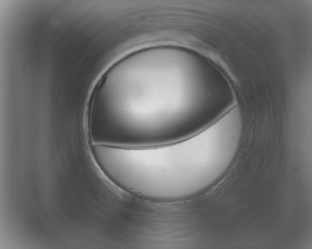 X0000073701516200608031001