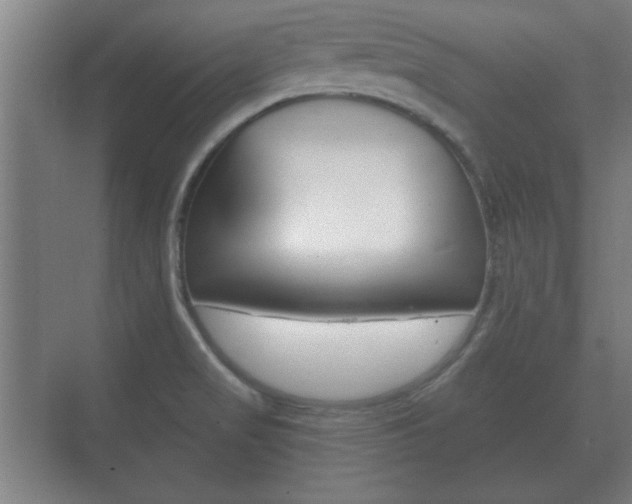 X0000073701517200608031001
