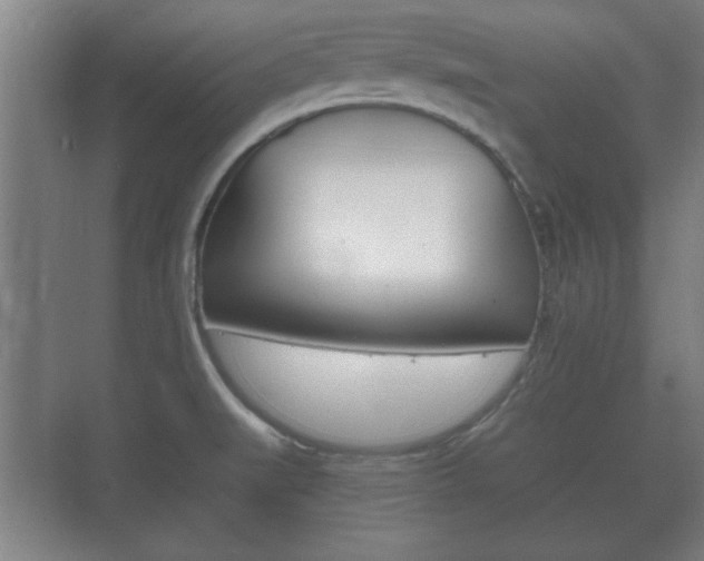 X0000073701519200608031001