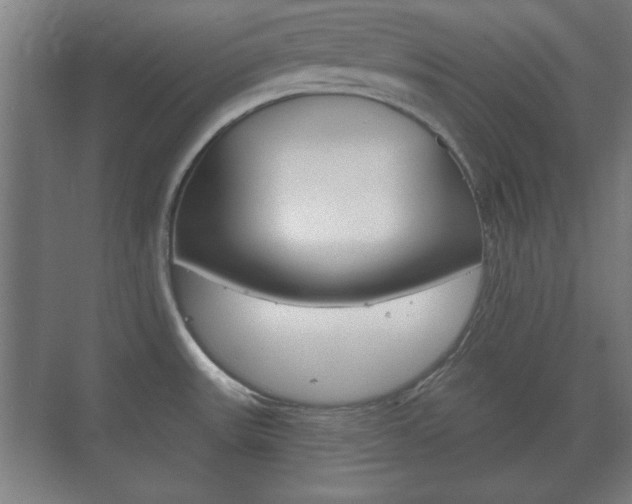 X0000073701531200608031001