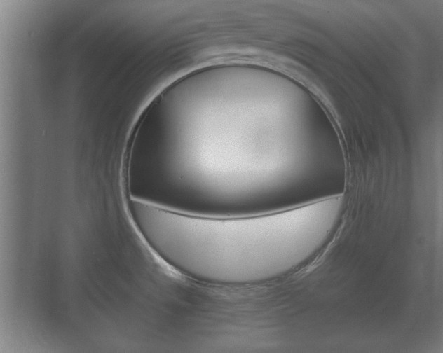 X0000073701533200608031001