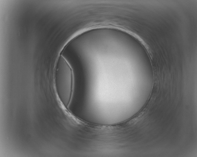 X0000073701534200608031001