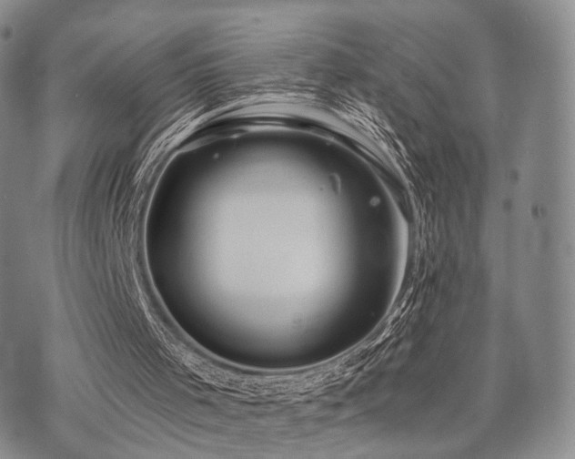 X0000073700001200608031226