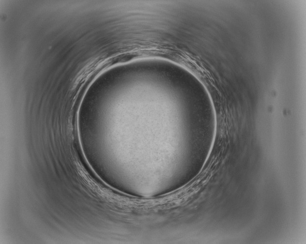 X0000073700002200608031226