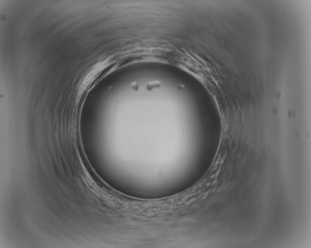 X0000073700003200608031226