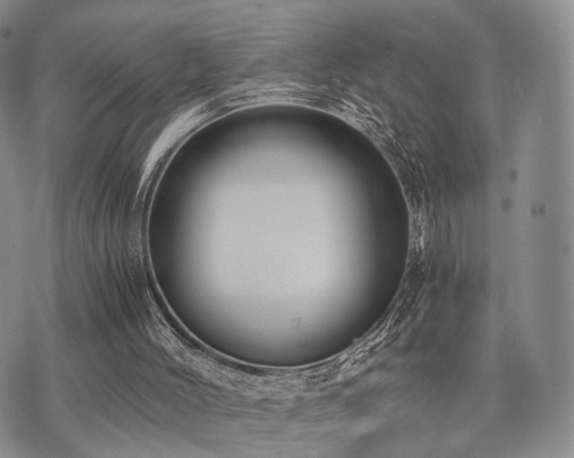 X0000073700004200608031226