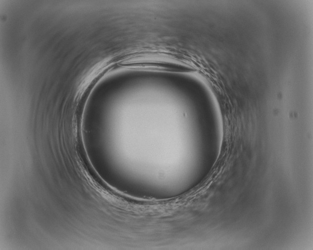 X0000073700005200608031226