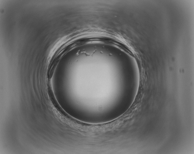 X0000073700007200608031226