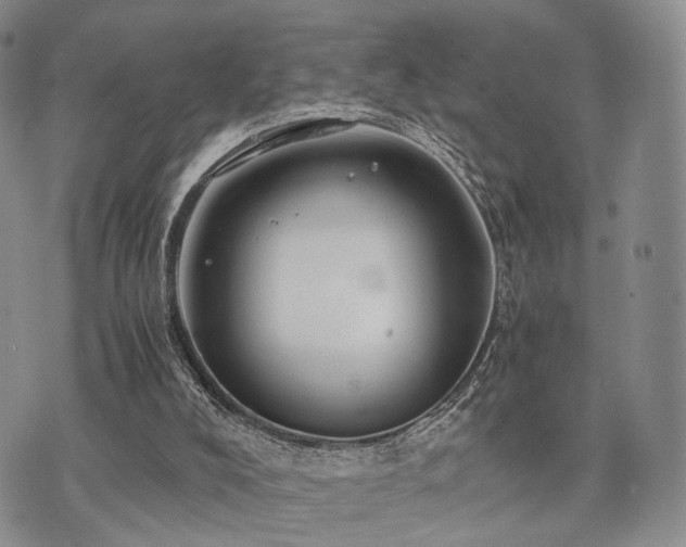 X0000073700008200608031226