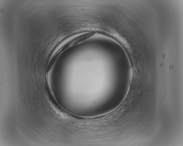 X0000073700009200608031226