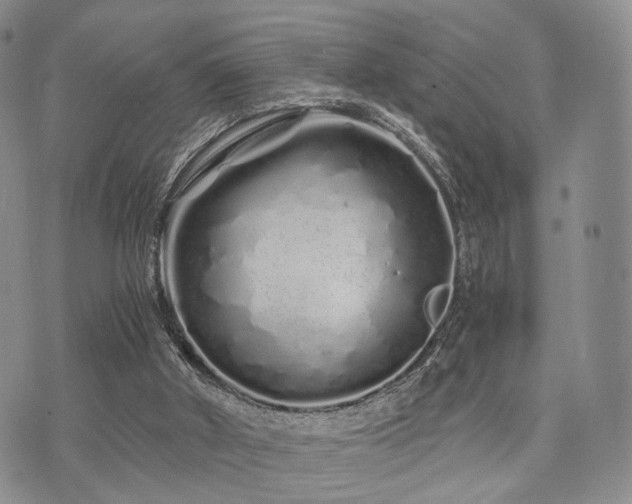 X0000073700010200608031226